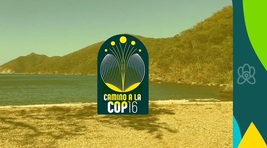 PNCV en la COP16 lanzamiento informe 2024